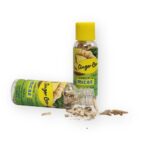 MICAE Ginger Can 10gms (Pack of 10)